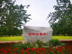-御林古桑园