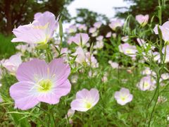 -上海市保健医疗中心