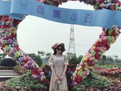 -紫颐香薰山谷景区
