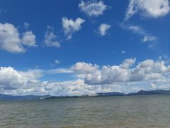 -深圳湾公园(南山区)