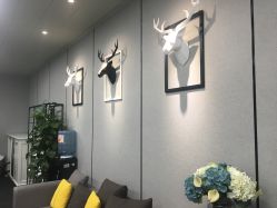 -MJ skin care国际皮肤管理中心