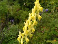 -白草畔自然风景区