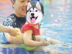 -戊辰亲子游泳俱乐部