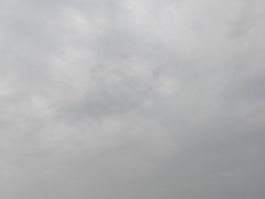 -日照海滨国家森林公园