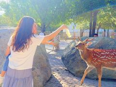 -水上乐园·欢乐世界