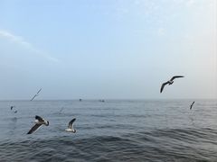 -银沙滩浴场