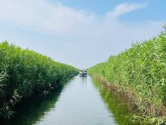-白洋淀风景区