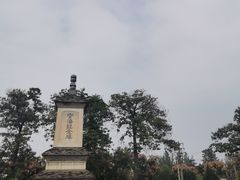 -西安乐游原