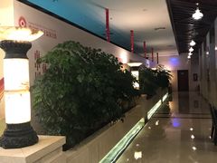 -罗浮山嘉宝田森林温泉度假酒店