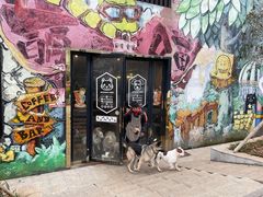 -萌喵咖啡屋(人民东路4号口M16商铺店)