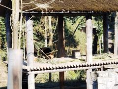 -碧峰峡风景区