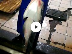 水库鱼-桃园美食(水库路店)