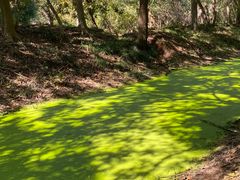 -蜀冈西峰生态公园