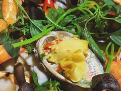 鲍鱼-派派茶客(金杏花园店)