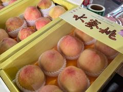 -南汇水蜜桃采摘(大团店)