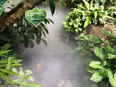 -呀诺达热带雨林