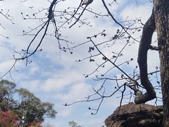 -洞庭土菜馆(易发广场店)