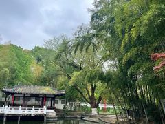 -求雨山文化公园