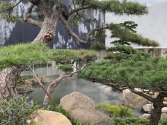 -罗红摄影艺术馆