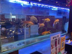 -粗粮人家·东北菜(洋桥店)