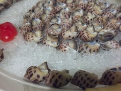 花螺-福临饭店(维一店)