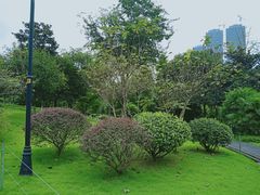 -龙头寺公园