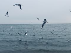 -老虎石海上公园