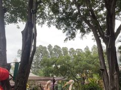 -广州长隆国际大马戏