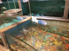 -快乐海鲜酒楼(滇池路店)