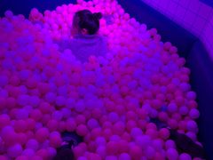 -杭州西湖星空魔幻城(星空艺术馆品牌旗舰店)