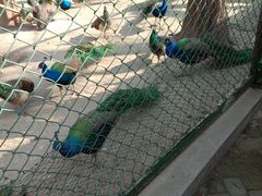 -南京金牛湖风景区