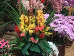 -双季花艺园艺市场(浦东店)