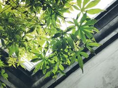 -糖房咖啡(南锣鼓巷店)