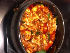 -陈麻婆豆腐总店