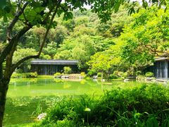 -云溪植物园
