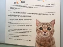 -纳吉亚猫专科动物医院博雅分院