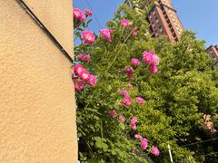 -四里河滨水生态公园