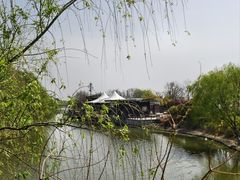 -江滩湿地公园