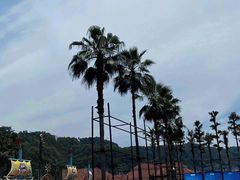 -重庆海昌加勒比海水世界