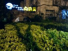 门面-向日葵咖啡
