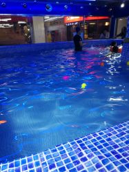 -子木乐园婴儿游泳馆(水晶港店)