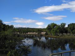 -东郊湿地公园