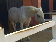 -龙口南山旅游景区