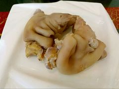 -丁老爷子苏香圆