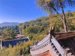 -潭柘寺景区
