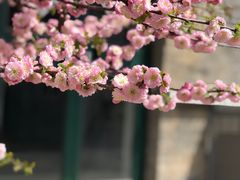 -1970南湖影视基地(建设南路店)