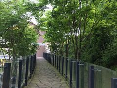 -衢州大荫山丛林飞越探险乐园