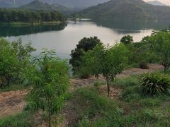 -红花湖景区