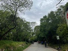 -虞山风景区