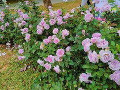 -人民公园(罗湖区)